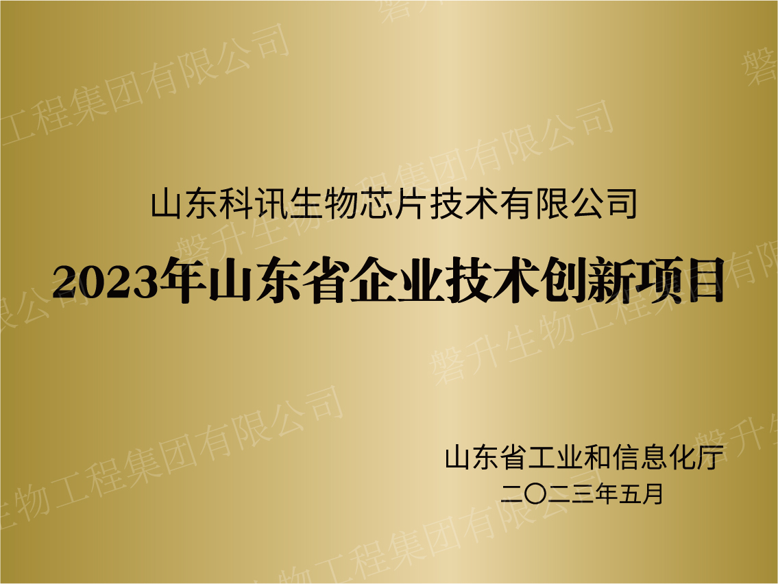 2023年山東省企業(yè)技術(shù)創(chuàng)新項目