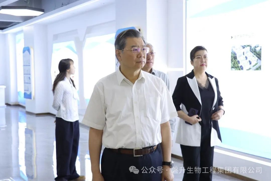 浙江省政協(xié)考察組蒞臨磐升集團調研，共話僑胞優(yōu)勢，賦能開放強省建設?